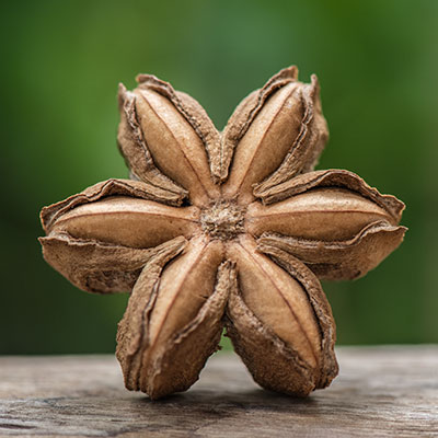 印加果液體膠囊